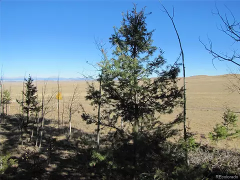 313 Aspen Ln, Hartsel, CO 80449