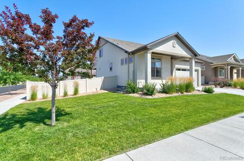 19801 E 53rd Ave, Denver, CO 80249 photo 24