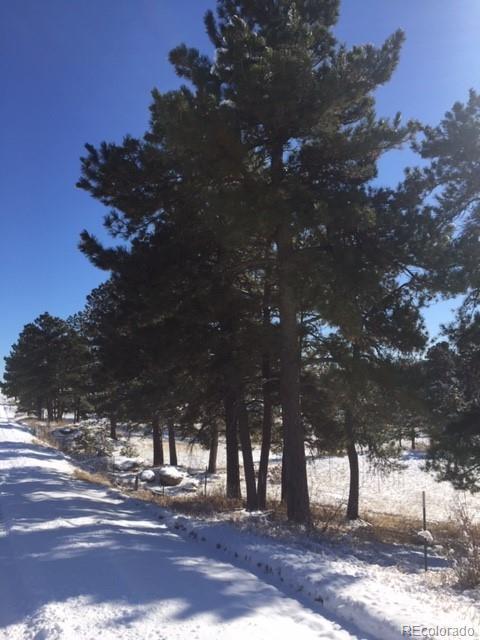 5906 County Rd 102 Rd, Elbert, CO 80106 photo 1