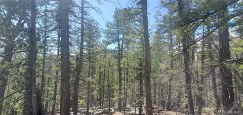 lot6764 Kerrigan Rd, Fort Garland, CO 81133