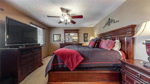 5239 E 114th Pl, Thornton, CO 80233 photo 23