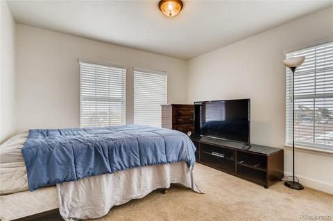 10904 Cascading Spring Cir, Peyton, CO 80831 photo 20