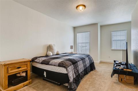 10904 Cascading Spring Cir, Peyton, CO 80831 photo 21