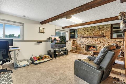 4802 E 108th Pl, Thornton, CO 80233 photo 23