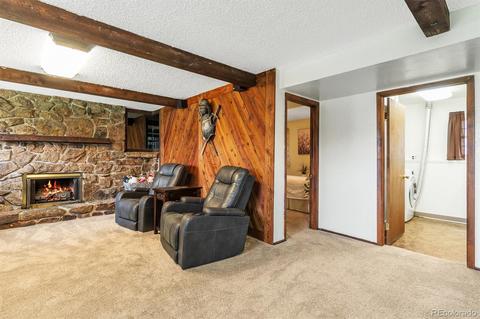 4802 E 108th Pl, Thornton, CO 80233 photo 22