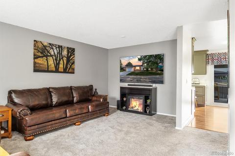 4802 E 108th Pl, Thornton, CO 80233 photo 7