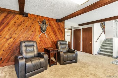4802 E 108th Pl, Thornton, CO 80233 photo 24