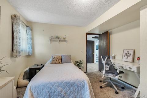 4802 E 108th Pl, Thornton, CO 80233 photo 30