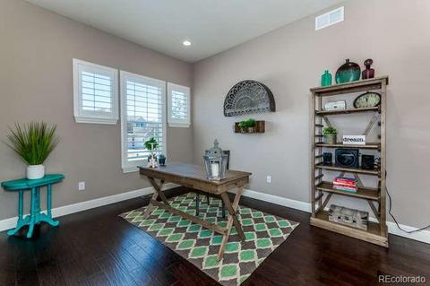 16110 W 84th Loop, Arvada, CO 80007 photo 14