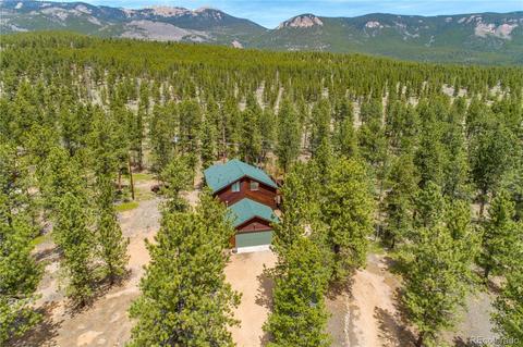 43 Crystal Rock Rd, Bailey, CO 80421 photo 3