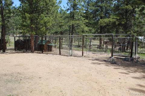 43 Crystal Rock Rd, Bailey, CO 80421 photo 33