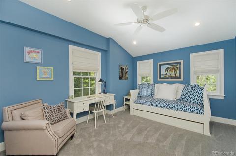 2217 Ivanhoe St, Denver, CO 80207 photo 24
