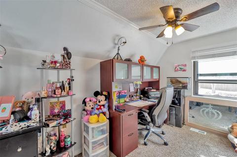 4570 E 120th Pl, Thornton, CO 80241 photo 19