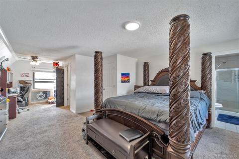 4570 E 120th Pl, Thornton, CO 80241 photo 21