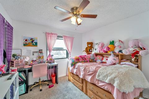 4570 E 120th Pl, Thornton, CO 80241 photo 18