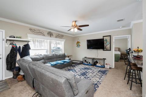 100 Rangeview Dr, Black Hawk, CO 80422 photo 7