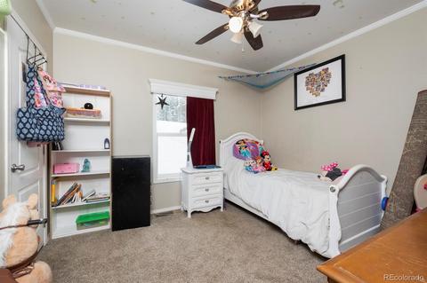 100 Rangeview Dr, Black Hawk, CO 80422 photo 18