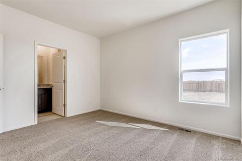 388 Maple St, Bennett, CO 80102 photo 14