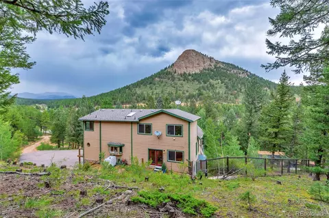 225 Roland Dr, Bailey, CO 80421 photo 9