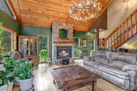225 Roland Dr, Bailey, CO 80421 photo 17