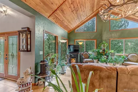 225 Roland Dr, Bailey, CO 80421 photo 14