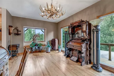 225 Roland Dr, Bailey, CO 80421 photo 18