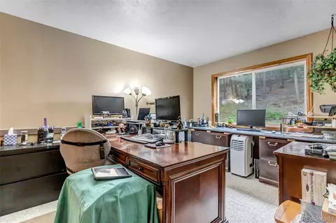 225 Roland Dr, Bailey, CO 80421 photo 37