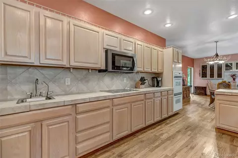 225 Roland Dr, Bailey, CO 80421 photo 23