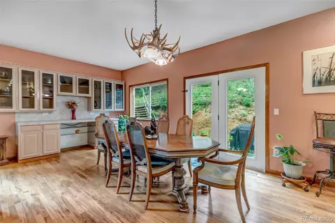 225 Roland Dr, Bailey, CO 80421 photo 19