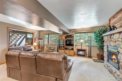 225 Roland Dr, Bailey, CO 80421 photo 39