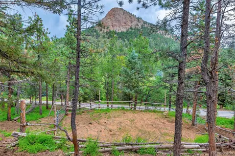 225 Roland Dr, Bailey, CO 80421 photo 6
