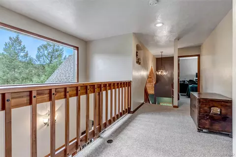 225 Roland Dr, Bailey, CO 80421 photo 28