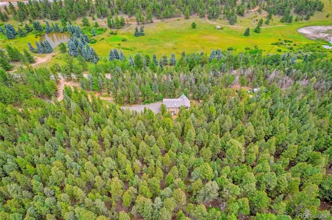 225 Roland Dr, Bailey, CO 80421 photo 5