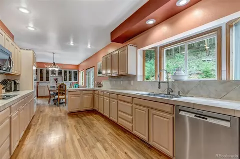 225 Roland Dr, Bailey, CO 80421 photo 21