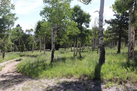 1979 Pitchfork Rd, Hartsel, CO 80449