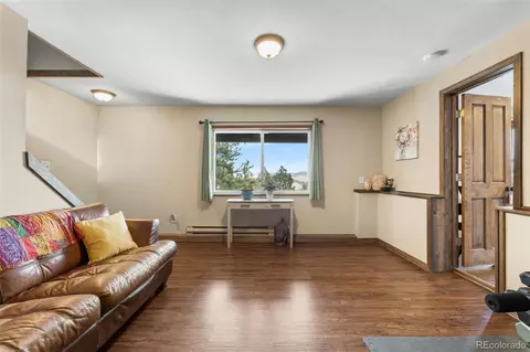 578 Eagle Trl, Bailey, CO 80421 photo 10