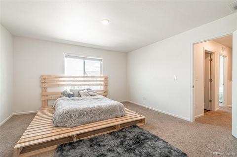 47336 Lilac Ave, Bennett, CO 80102 photo 20