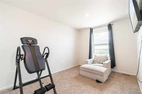 47336 Lilac Ave, Bennett, CO 80102 photo 24