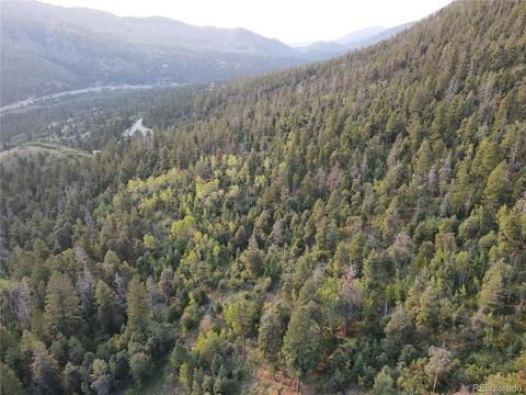 9005 Mountain Rd, Cascade, CO 80809 photo 11