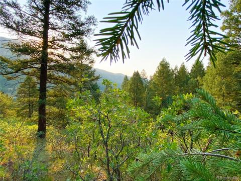 9005 Mountain Rd, Cascade, CO 80809 photo 12