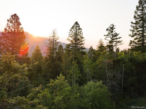 9005 Mountain Rd, Cascade, CO 80809 photo 4