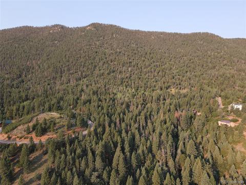 9005 Mountain Rd, Cascade, CO 80809 photo 10
