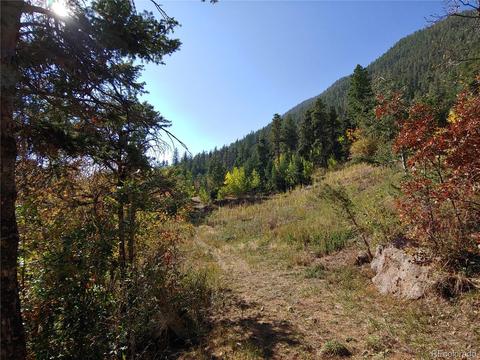 9005 Mountain Rd, Cascade, CO 80809 photo 14