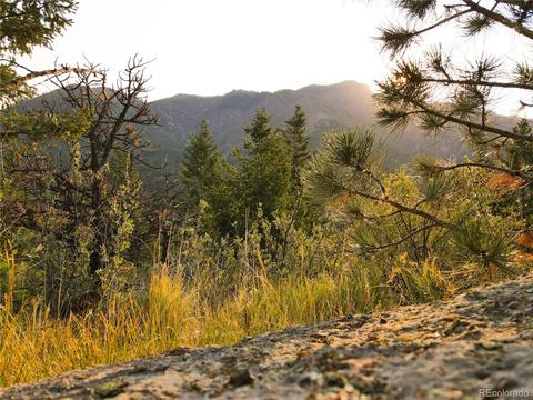 9005 Mountain Rd, Cascade, CO 80809 photo 6