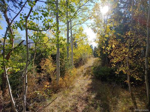 9005 Mountain Rd, Cascade, CO 80809 photo 5