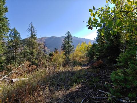 9005 Mountain Rd, Cascade, CO 80809 photo 16