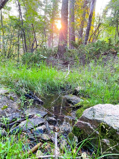 9005 Mountain Rd, Cascade, CO 80809 photo 3
