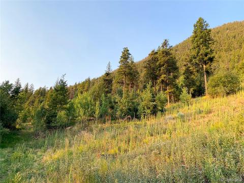 9005 Mountain Rd, Cascade, CO 80809 photo 9