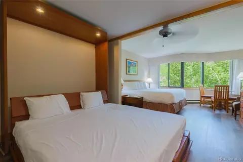 6 Emmons Rd #515, Mount Crested Butte, CO 81225