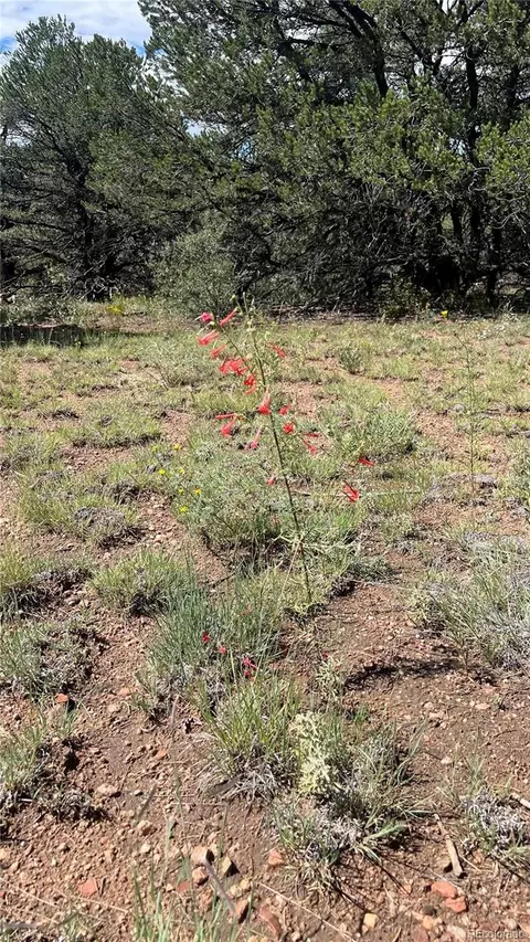 Q Path, Cotopaxi, CO 81223 photo 5